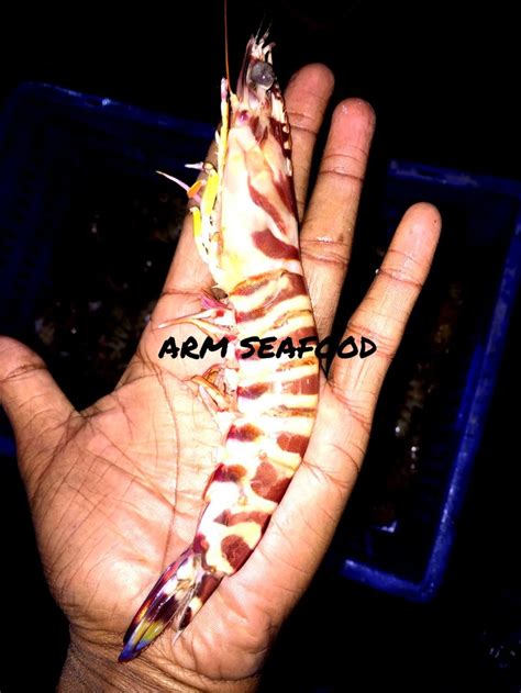 Arm Seafood Yellow Sea Flower Prawn Kg Packaging Type Thermocol