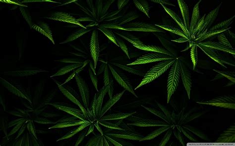 Trippy Weed Tumblr Wallpapers Wallpaper Cave