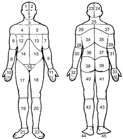 Check spelling or type a new query. Body manikins used to define the 45 pain sites in the front and the... | Download Scientific Diagram