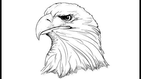 How To Draw An Eagle Youtube
