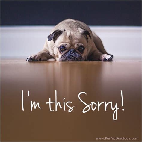 12 Creative Ways To Say Sorry And Apologize Ideas The Perfect Apology