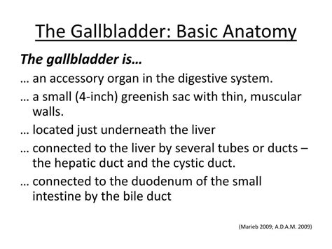 Ppt Food And Human Health Issues Gallstones Powerpoint Presentation Id