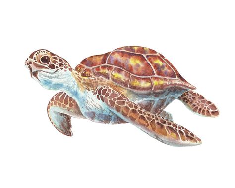 Giant Sea Turtle Watercolor Painting Painting By Irina Sztukowski