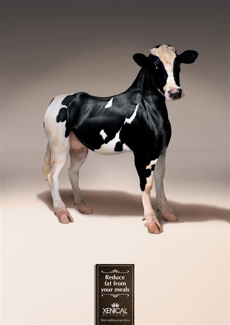 Cow Ads Of The World Part Of The Clio Network
