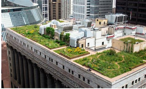 Rooftops hold a certain allure but it's not just urban explorers and extreme sports narcissists that are drawn to the tops of buildings to capture this alternative view of the city. Chicago's green rooftop experiment | ShareAmerica
