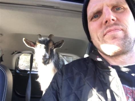 Trey Helten On Twitter 3 Years Ago I Rented An Evo And Drove To Maple Ridge To Buy A Goat