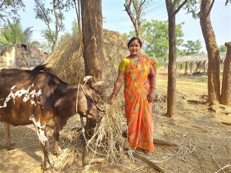 Women Adopt Organic Farming To Transform A Karnataka Village