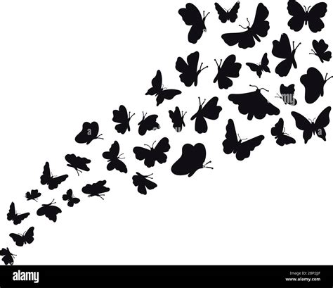 Butterfly Flow Silhouettes Flying Butterflies Graphic Wave Black