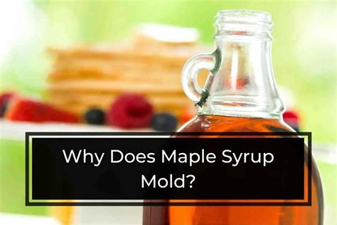 Why Does Maple Syrup Mold A Detailed Answer