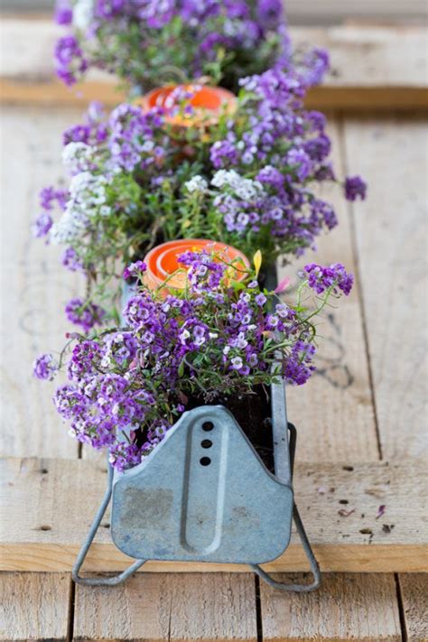 549 Best Gardening Images On Pinterest Galvanized