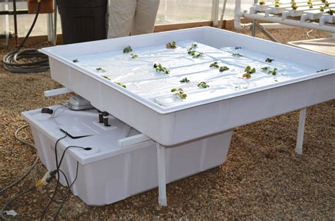Ebb And Flow Table 2 Greenhouse Benches Ebb And Flow Hydroponics