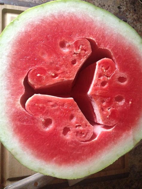 How This Watermelon Split On The Inside Mildlyinteresting