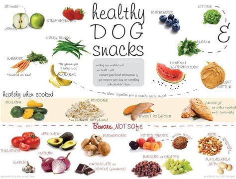 Gotta Love Dogs Helpful Hints Good Foods For Your Dogs