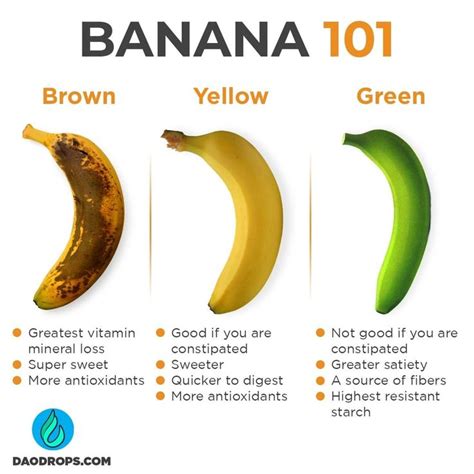 Holistic Guidebook On Instagram Banana Facts 101 🍌🍌 Drop A Comment