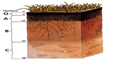 Soil Mechanics And Foundation Engineering