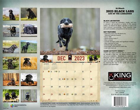 2023 Black Labrador Dog Wall Calendar The King Company