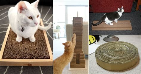 The kitten is growing and is already starting to sharpen its claws, it was decided to make him a scratching post and a house with a. 12 DIY Cardboard Cat Scratcher Ideas to Make at Home ⋆ ...