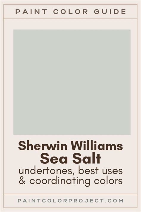 Sherwin Williams Sea Salt A Complete Color Review The Paint Color