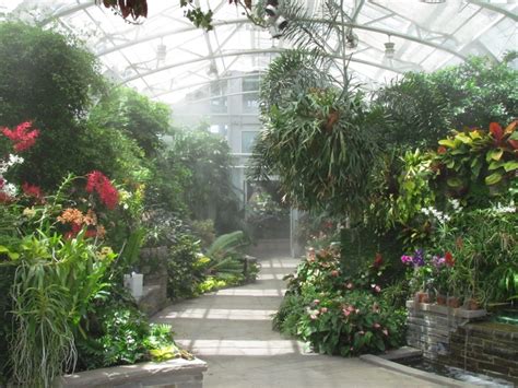 Inside The Conservatory At The Lewis Ginter Botanical Garden Lewis