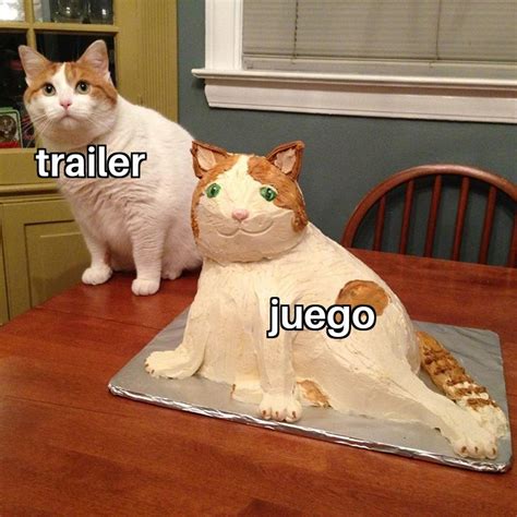 Top Memes De Gatos En Español Memedroid