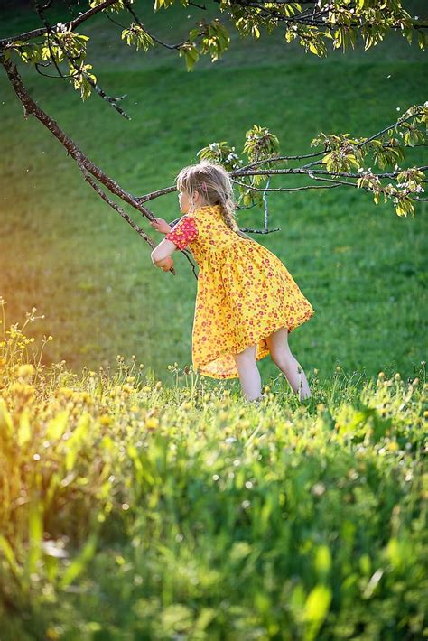 Free Download Person Human Child Girl Out Nature Play Pikist