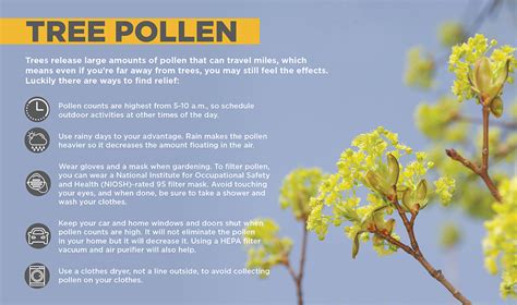 Tree Pollen Allergy