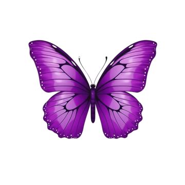 Purple Butterfly Cute Purple Butterfly Violet PNG Transparent Image