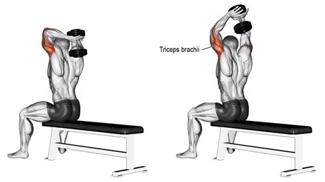 How To Do Seated Tricep Extension Correctly