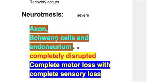 Neuropraxia Axonotmesis Neurotmesis Youtube