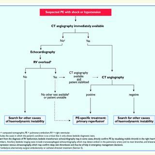 Proposed Diagnostic Algorithm For Patients With Suspected Not High Risk