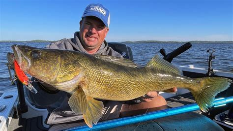 Trolling Walleye With Leadcore Complete Guide Lake Vermillion MN