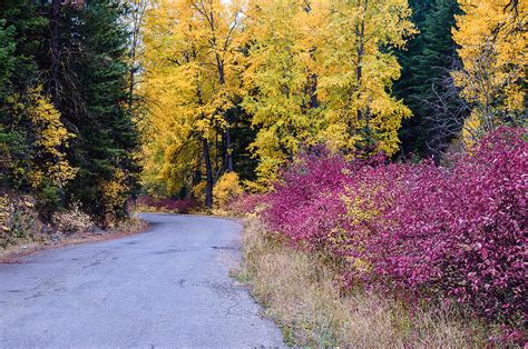 Blewett Pass Washington With Fall Colors Photograph By Wayne Bressler