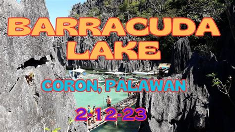Barracuda Lake Coron Palawan 2 12 23 Youtube