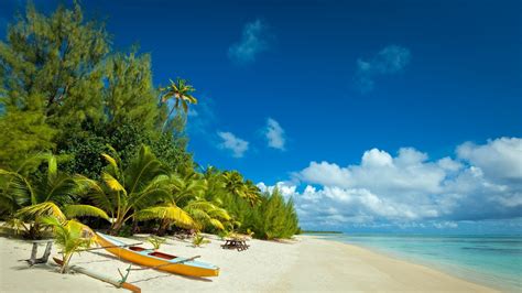 Nature Landscape Beach Sunrise Palm Trees Sea Sand Tropical Caribbean Guadeloupe Island Summer