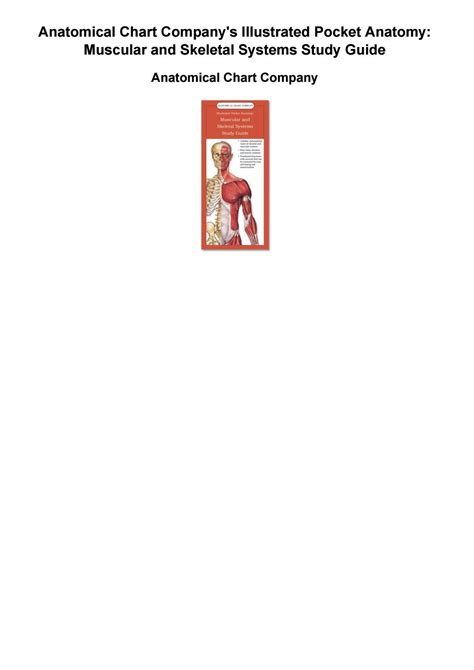 Anatomical Chart Companys Illustrated Pocket Anatomy Muscular And