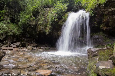 Grotto Falls Trail Review With Photos Tips And Information