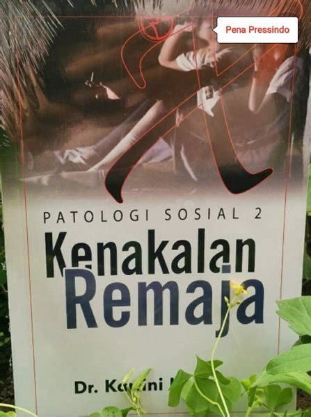 Jual Buku Patologi Sosial 2 Kenakalan Remaja Di Lapak Pena Press Bukalapak