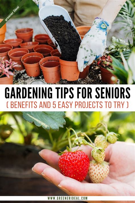 The Benefits Of Gardening For Seniors Are Tenfold Many Studies Show