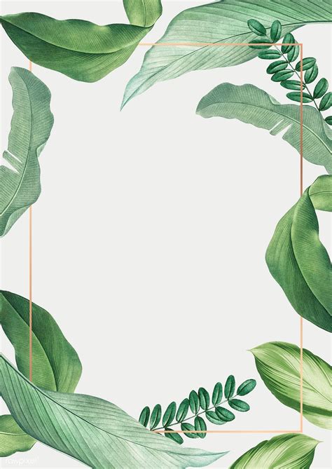 Hand Drawn Tropical Leaves Poster Illustration Premium Image By
