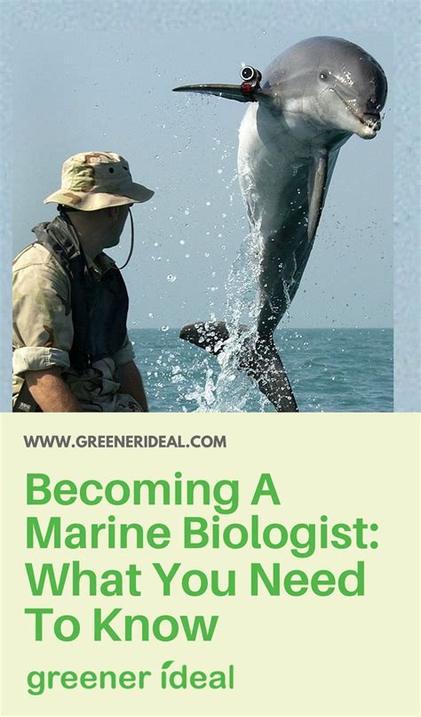 Marine Biology Schools Biology College Wildlife Biologist Marine