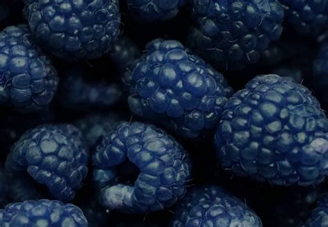 Blue Raspberries What You Need To Know