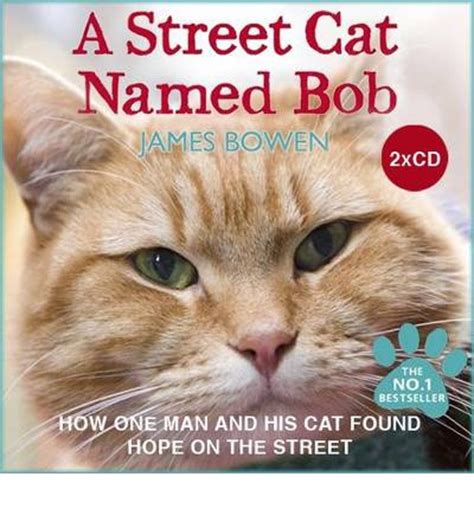 How one man and his cat found hope on the streets: A Street Cat Named Bob : James Bowen : 9781908571052
