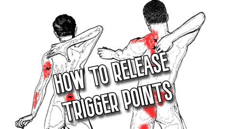 How To Release Muscle Knots Or Trigger Points In 2 Minutes And 44 Seconds Youtube