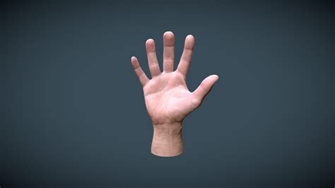 3d Hand Model Download