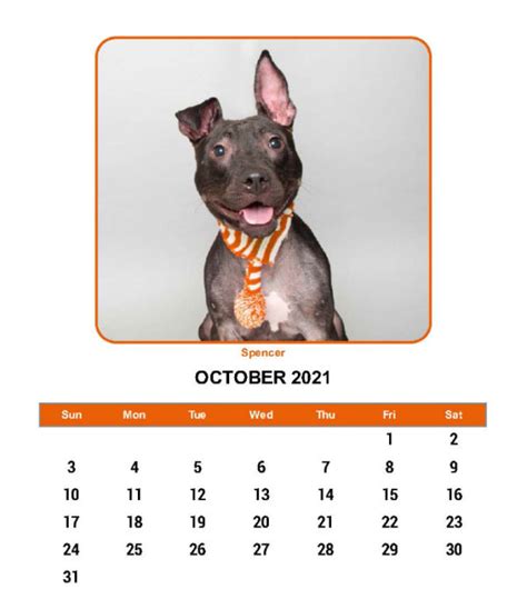 2021 Dog Calendar Shelter To Home