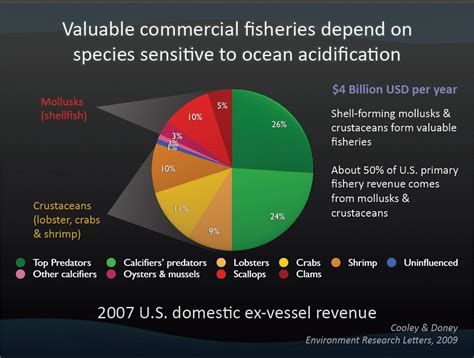 Conservation News Ocean Acidification Animal Almanac
