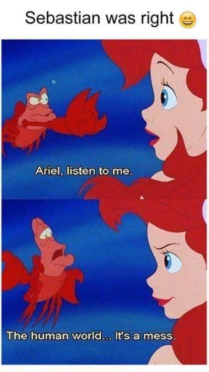 Ariel Meme Tumblr