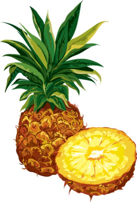 Free Pineapple Clipart The Cliparts Cliparting Com Riset
