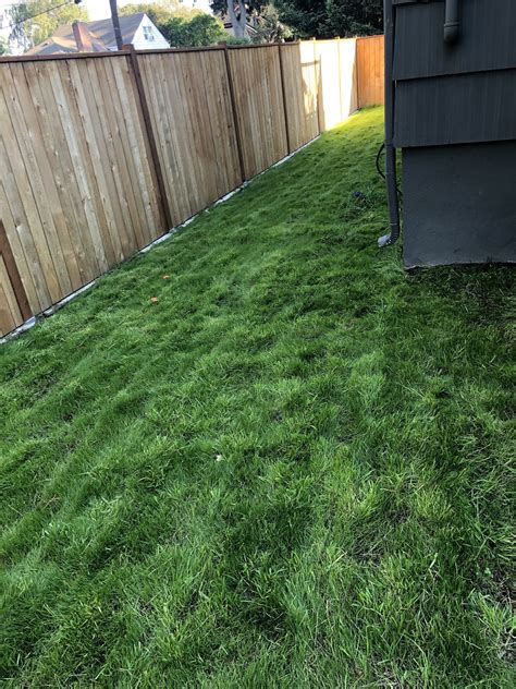 Update: mowed lawn : lawncare