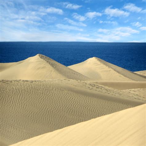 Sand Dunes In Gran Canaria Grancanaria Canaryislands Hot Sex Picture